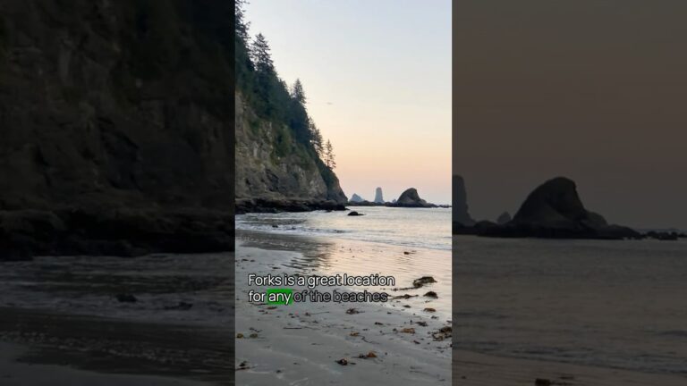 Tip No. 12 for Visiting Olympic National Park #OlympicNationalPark  #TravelTips #USNationalParks